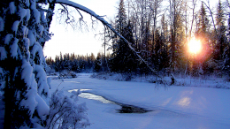 Застрявшая в тайге группа староверов отказалась от помощи спасателей