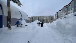 Директору катка предъявили обвинения в халатности после гибели ребенка под снежным завалом