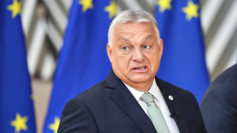 Орбан обвинил Украину во вмешательстве в выборы Венгрии