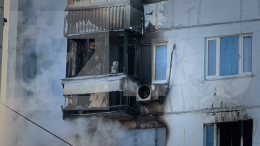 Котенок погиб в пожаре в многоэтажном доме на востоке Москвы