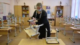 Более 20 регионов объявили карантин в школах и детсадах из-за ОРВИ