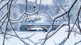 Потепление близко? Когда ожидать последнюю морозную ночь в Москве