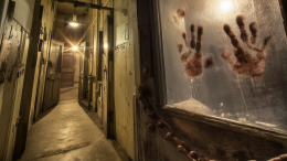 Адреналин под контролем: в российских квестах хотят запретить сцены пыток и опасные моменты