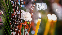 Вербная неделя: как провести шестую седмицу Великого поста