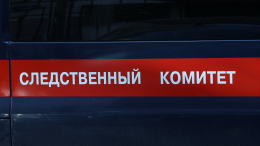 Пропавшие в Петербурге сестры найдены вместе с матерью во Владимирской области