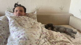 Дело не только в тепле: почему собаки любят спать в постели хозяев