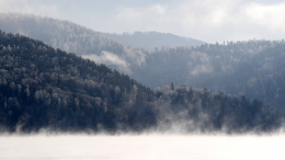 Голосовые дроны искали пропавших Усольцевых в красноярской тайге
