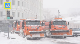 В Москве все службы города задействованы в ликвидации последствий снегопада