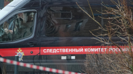 Младшая из сестер, найденных во Владимирской области, передана отцу