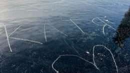 «Его слюни продаю»: сколько стоит кусок льда, который лизнул SHAMAN