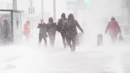 Взгляд из космоса: «Роскосмос» показал, как циклон «Валли» накрывал Москву