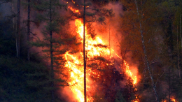 Десятилетие за решеткой: подростки подожгли лес в Забайкалье