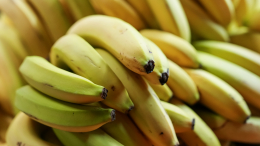 Росстандарт принял ГОСТ на бананы