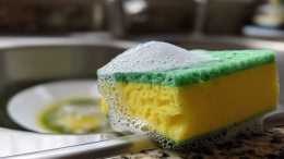 Как часто нужно менять губку для мытья посуды? Ученый дал однозначный ответ