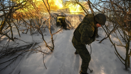Артиллерийский огонь накрыл блиндажи ВСУ. Лучшее видео из зоны СВО