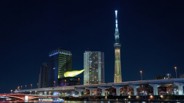 Более 1000 человек застряли на телебашне в Токио из-за сломанного лифта