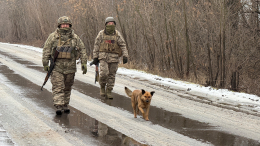 Киев собрался провести масштабную реформу системы призыва в ряды ВСУ
