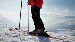 «Нет зрелищности»: норвежская лыжница назвала идиотизмом женский марафон на ОИ