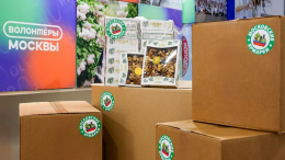 Участники московских ярмарок отправили подарки бойцам СВО