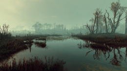 Страна мха и воды: где находится крупнейшее болото планеты