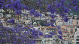 Монумент насилия: в Сербии нашли массовое захоронение 77 женщин и детей