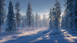 Пять месяцев в тайге: спасатель о шансах найти пропавших Усольцевых живыми