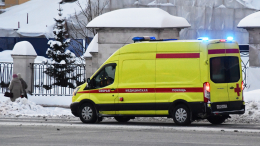 Студентка РАНХиГС насмерть разбилась при падении из окна общежития