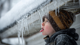 «Вся таблица Менделеева»: терапевт объяснил, чем грозит детям облизывание сосулек
