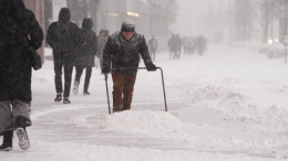 Столица в снегу: в Москве может быть побит 30-летний рекорд по высоте сугробов