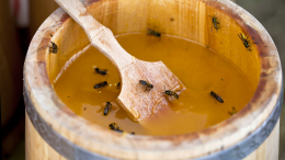 Цены жалят: российский мед подорожает на фоне рекордного неурожая