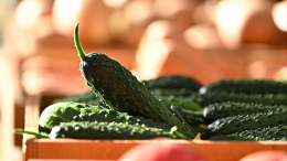 И не забудьте огурцы: экс-мэра Троицка в Челябинской области осудили за взятку