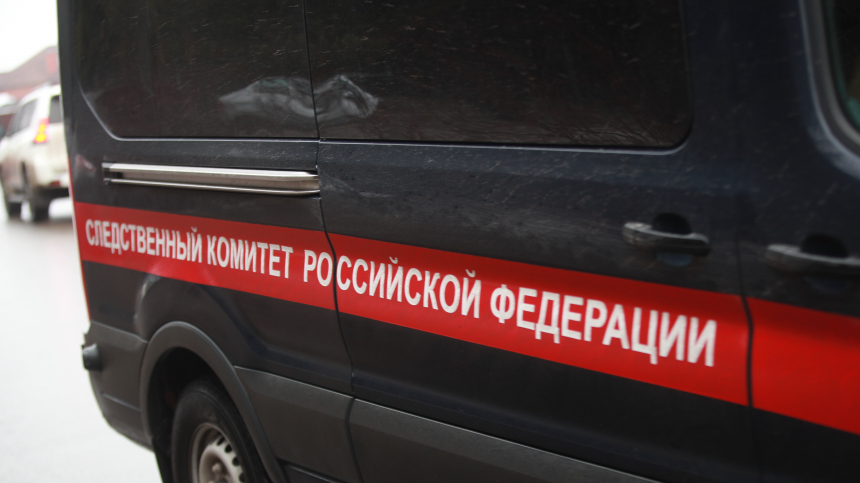 Оставила телефон: что нашли в переписках пропавшей 9-летней девочки в Смоленске