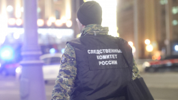 Надежда жива: появились новые подробности исчезновения девочки в Смоленске