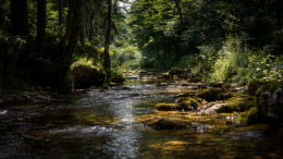«Жестокое и злобное»: юноше вбили 30 гвоздей в голову и бросили его тело в реку