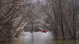 Москвичей предупредили об активном весеннем половодье из-за рекордных сугробов