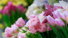 Как собрать красивый и недорогой букет: ТОП‑5 стойких цветов, которые не завянут быстро