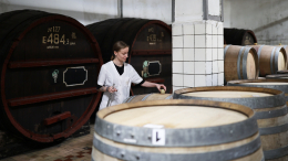 Российские виноделы впервые взяли главный приз на конкурсе «Терравино» в Израиле