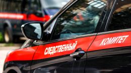 Похищенную в Смоленске девятилетнюю девочку вернули матери