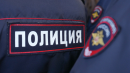 Похититель девятилетней девочки в Смоленске пытался отбиться от полиции