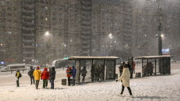 Снежный паралич: Петербург накрыла сильная метель