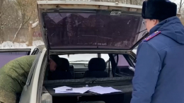 Серая «девятка» и волос в салоне: как искали пропавшую в Смоленске девочку