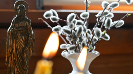 Вербное воскресенье 2026: когда и зачем святить вербу, что нельзя делать