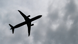 «На весь самолет закричала»: следующий из Вьетнама в Россию борт экстренно вернулся в аэропорт вылета