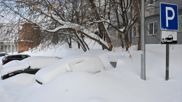 Все в снегу: юрист объяснил, как оспорить штраф за неправильную парковку