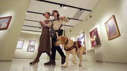 Идеальная пара: как находят четвероногих помощников для слепых людей