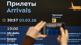 Первый рейс из ОАЭ после приостановки полетов прибыл в Москву