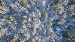 Ночевал с мертвым другом: что произошло с пропавшими в горах Урала уфимцами