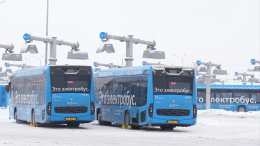 Более 400 электробусов пополнят городской парк Москвы в 2026 году