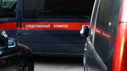 Пропавшего в Ленобласти подростка нашли живым