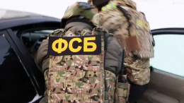 ФСБ задержала участницу террористической группировки «Съезд народных депутатов»*